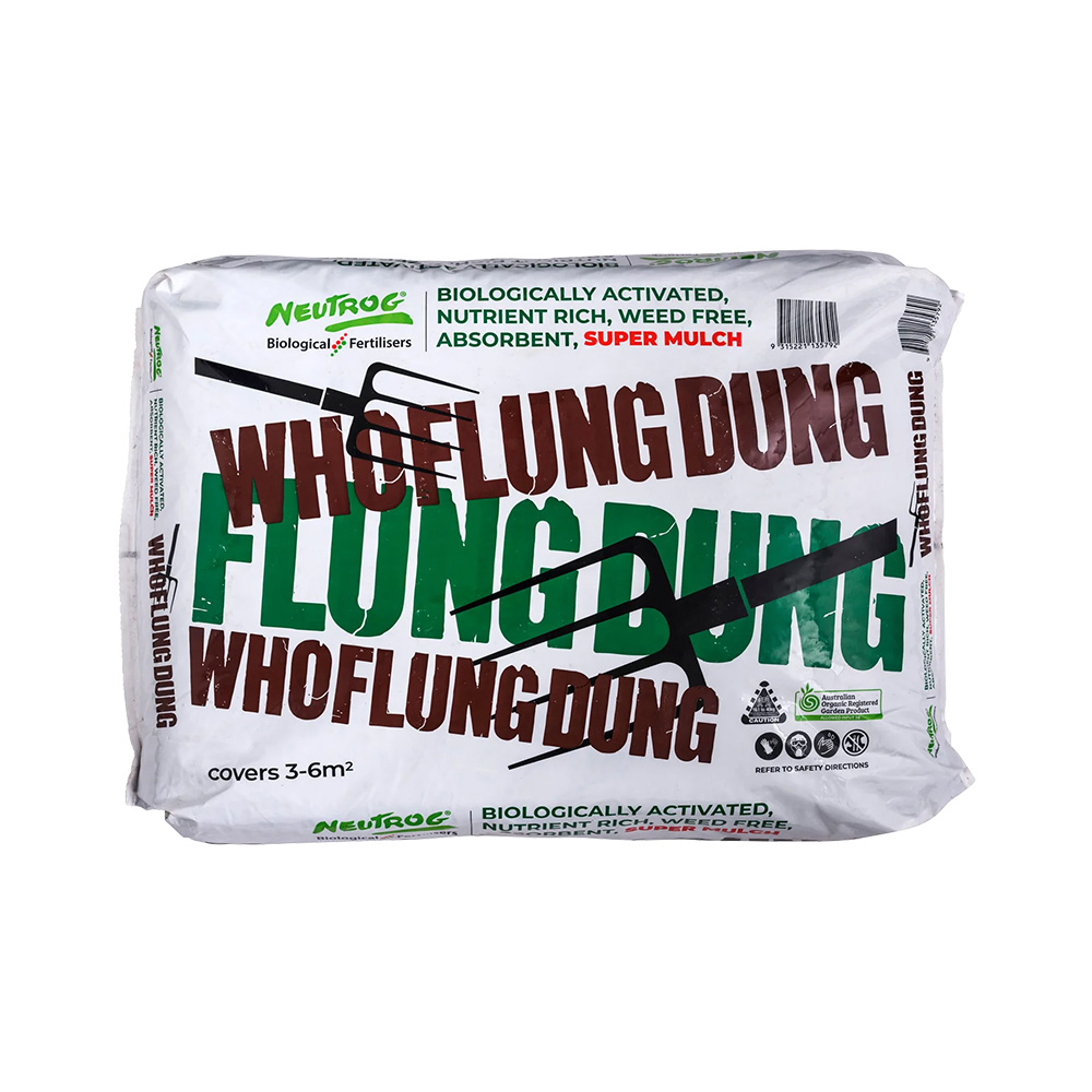 0001_WhoFlungDung.Bale_-1